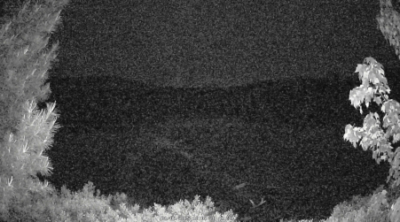 Image from 2025-06-08