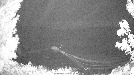 Image from 2025-06-08