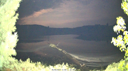 Image from 2025-06-08