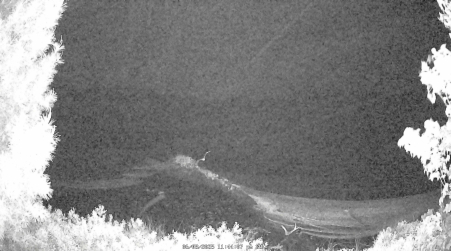Image from 2025-06-08