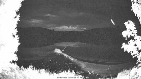 Image from 2025-06-09