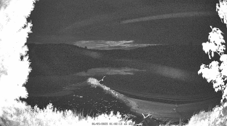 Image from 2025-06-09