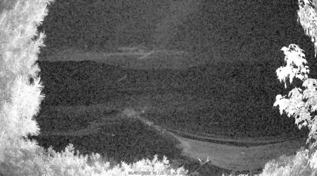 Image from 2025-06-09