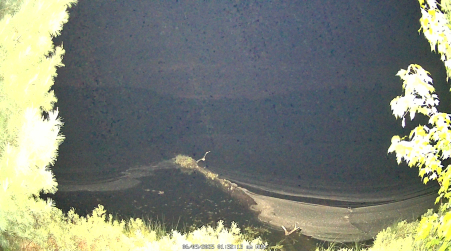 Image from 2025-06-09