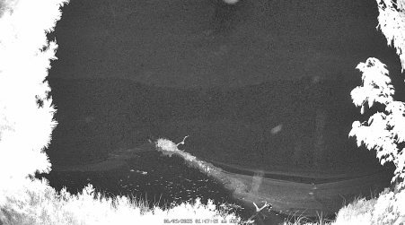 Image from 2025-06-09