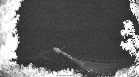 Image from 2025-06-09