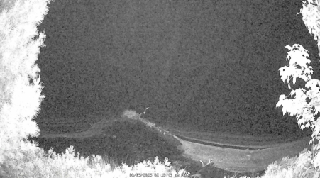 Image from 2025-06-09