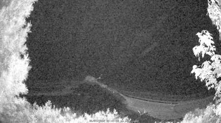 Image from 2025-06-09