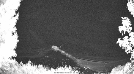 Image from 2025-06-09