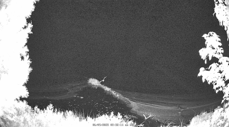 Image from 2025-06-09