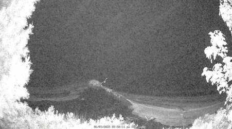 Image from 2025-06-09