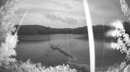 Image from 2025-06-09