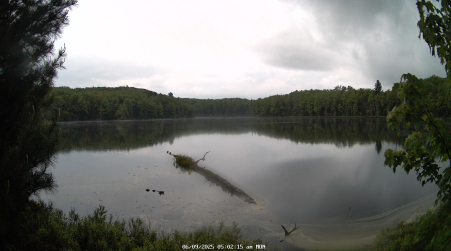 Image from 2025-06-09