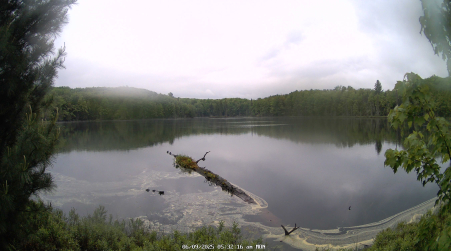 Image from 2025-06-09