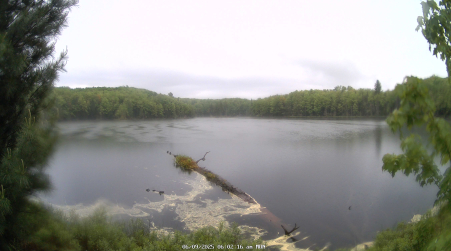 Image from 2025-06-09