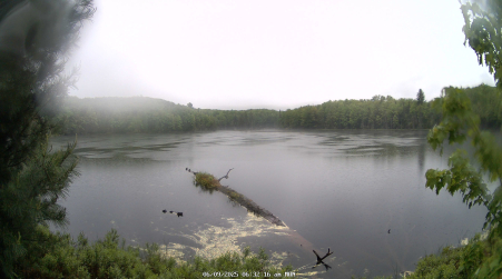 Image from 2025-06-09