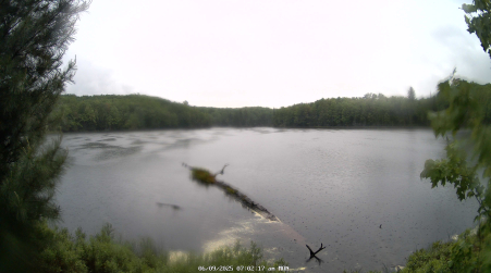 Image from 2025-06-09