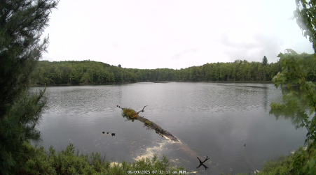 Image from 2025-06-09