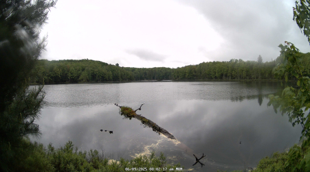 Image from 2025-06-09