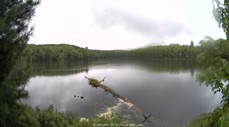 Image from 2025-06-09