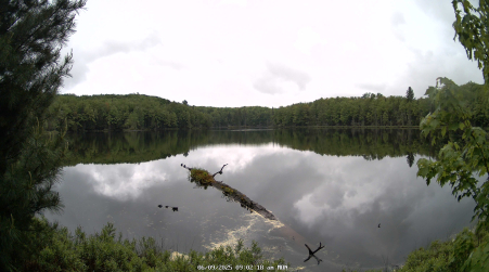 Image from 2025-06-09