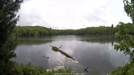 Image from 2025-06-09