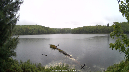 Image from 2025-06-09