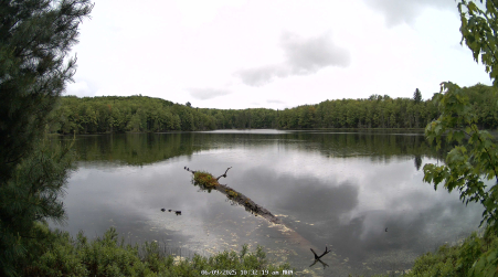 Image from 2025-06-09