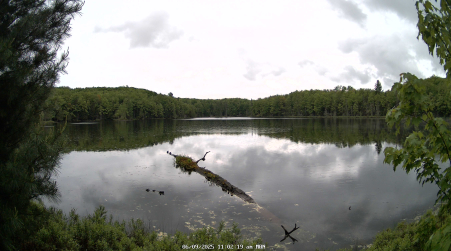 Image from 2025-06-09