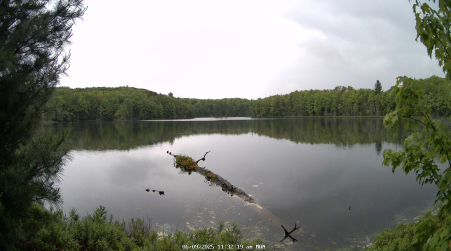 Image from 2025-06-09