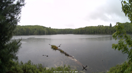 Image from 2025-06-09