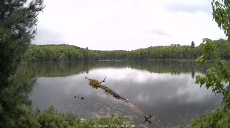 Image from 2025-06-09