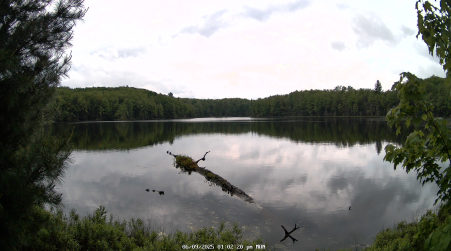 Image from 2025-06-09