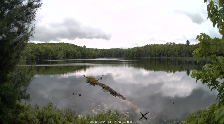 Image from 2025-06-09