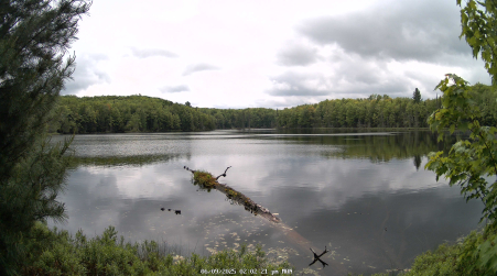 Image from 2025-06-09