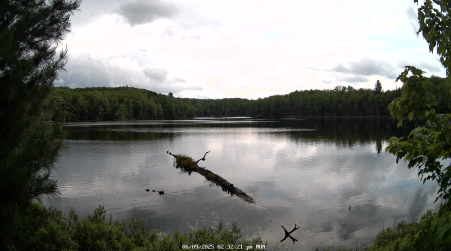 Image from 2025-06-09