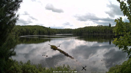 Image from 2025-06-09