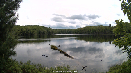 Image from 2025-06-09
