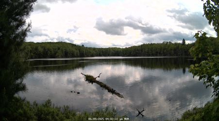 Image from 2025-06-09