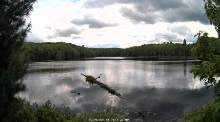Image from 2025-06-09