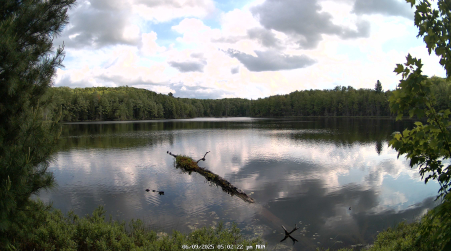 Image from 2025-06-09