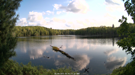 Image from 2025-06-09