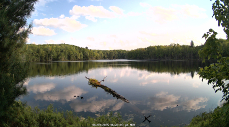 Image from 2025-06-09
