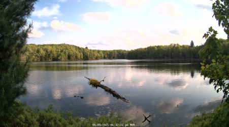 Image from 2025-06-09