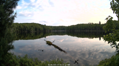 Image from 2025-06-09