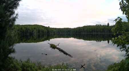 Image from 2025-06-09