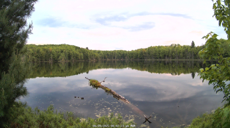 Image from 2025-06-09