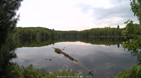 Image from 2025-06-09