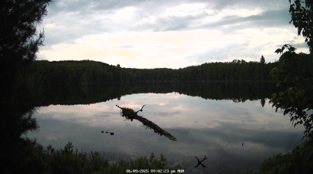 Image from 2025-06-09