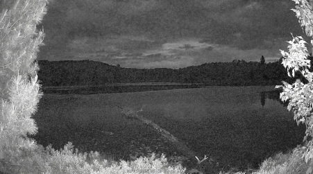Image from 2025-06-09